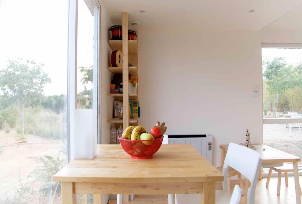 Eco Tiny Home & Office For Digital Nomads Vallmoll Ngoại thất bức ảnh