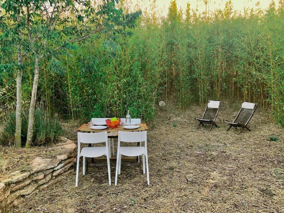 Eco Tiny Home & Office For Digital Nomads Vallmoll Ngoại thất bức ảnh