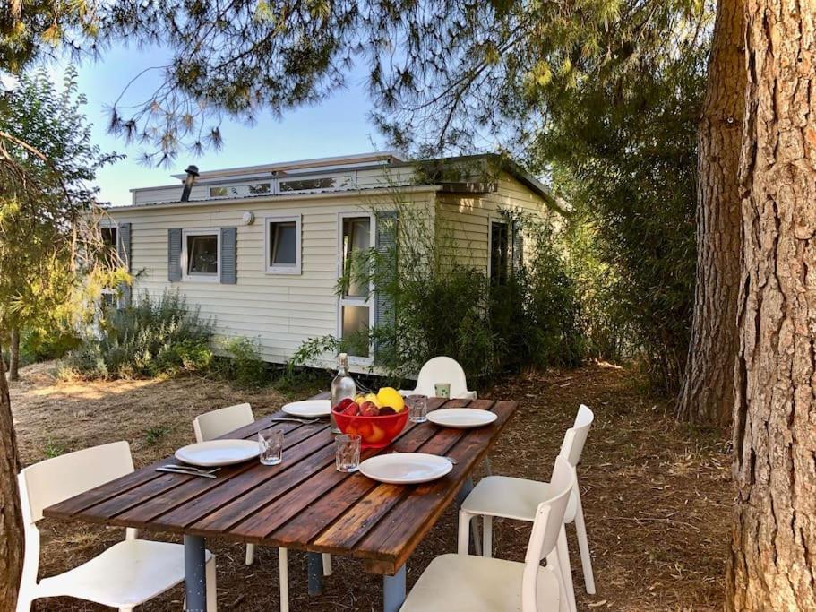 Eco Tiny Home & Office For Digital Nomads Vallmoll Ngoại thất bức ảnh