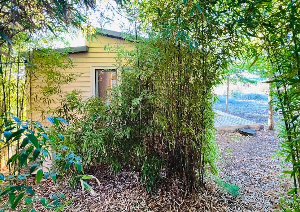 Eco Tiny Home & Office For Digital Nomads Vallmoll Ngoại thất bức ảnh